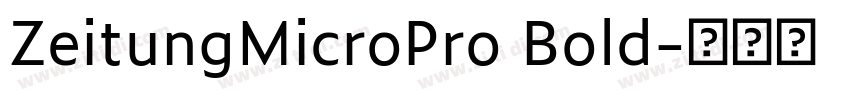 ZeitungMicroPro Bold字体转换